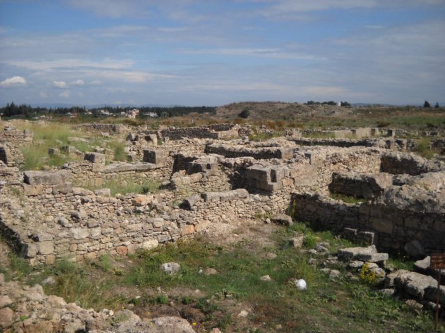 dscn0153.jpg