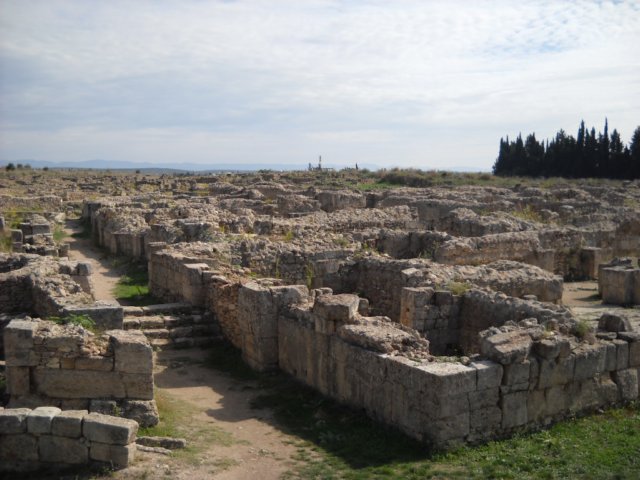 dscn0155.jpg