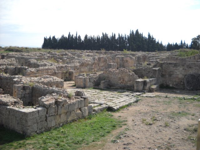 dscn0156.jpg