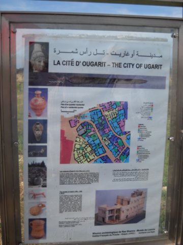 dscn0172.jpg