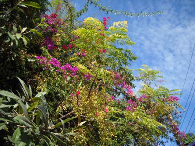 dscn0186.jpg