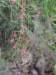 dscn0191_small.jpg