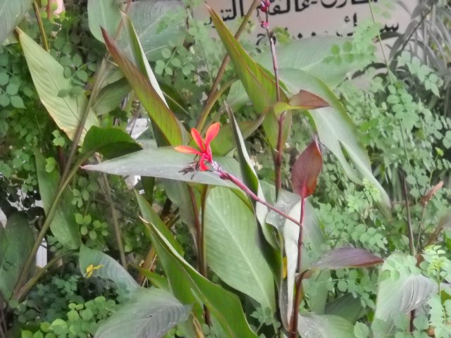 dscn0192.jpg