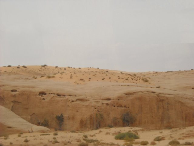 dscn0180.jpg
