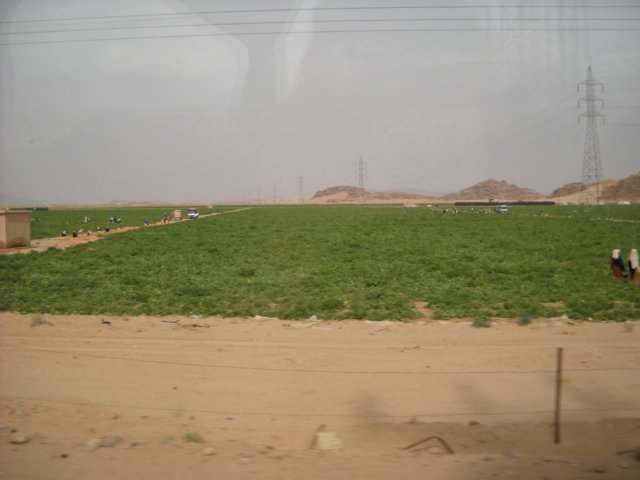 dscn0187.jpg