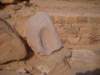 dscn0207_small.jpg