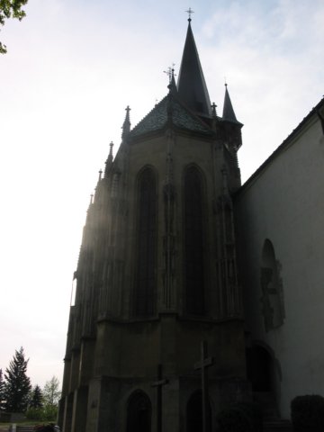 img_9852.jpg